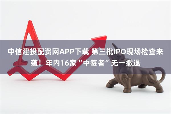 中信建投配资网APP下载 第三批IPO现场检查来袭！年内16家“中签者”无一撤退