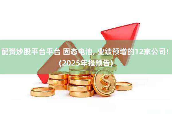 配资炒股平台平台 固态电池, 业绩预增的12家公司! (2025年报预告)