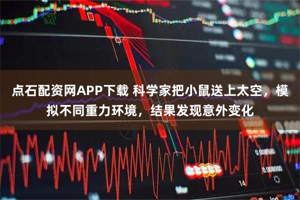 点石配资网APP下载 科学家把小鼠送上太空，模拟不同重力环境，结果发现意外变化